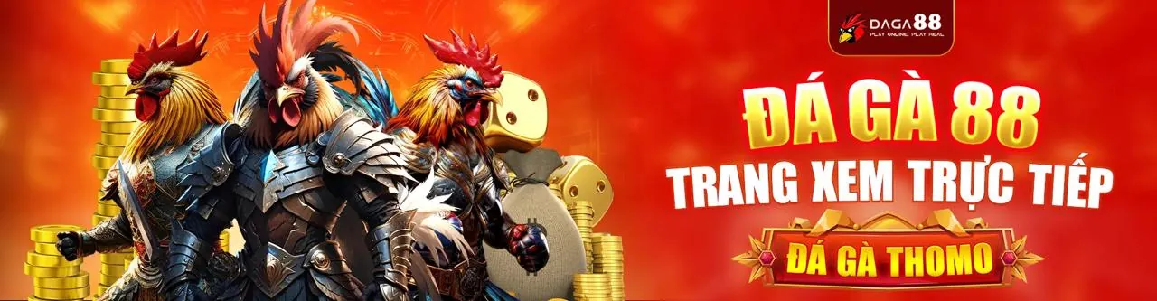 Đá gà trực tuyến kịch tính tại KING33